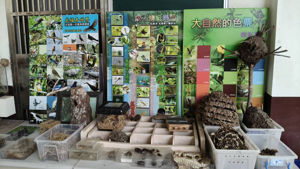 成福國小校園自然生態展示與昆蟲蜂巢觀察素材